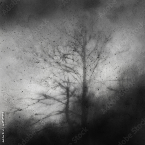 Dark forest. Black and white vintage illustration.