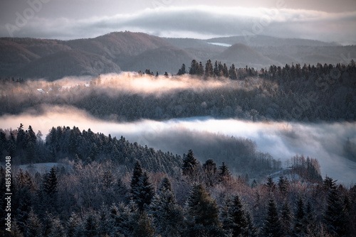 Fototapeta Naklejka Na Ścianę i Meble -  Misty hills in the wintry mood, Bieszczady Mountains, Poland