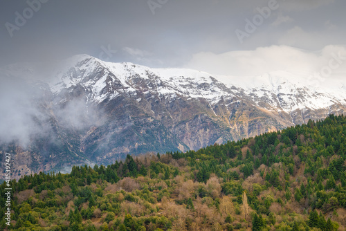 View of pine trees and mountain covered in snow at Tzoumerka Greece photo