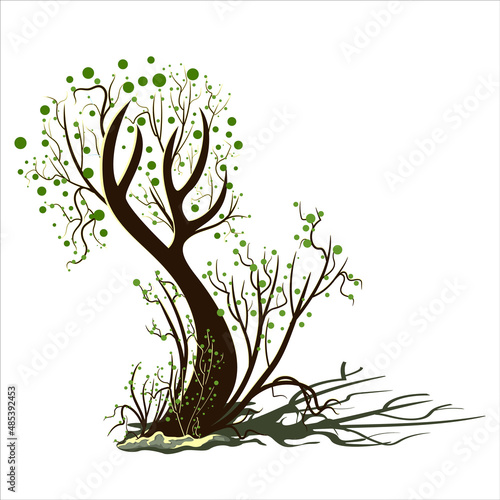 Vector image isolated on white background. Tree branch. Rostock. Tree.Concept. EPS 10