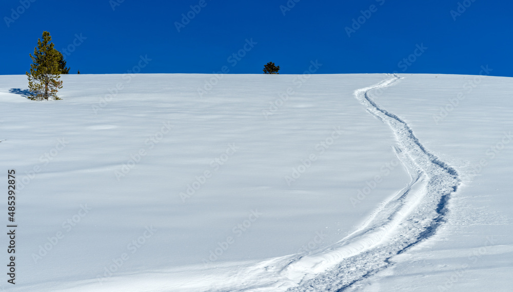 Snowmobile trail in snow leads to deep blue sky above