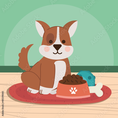 little dog with food