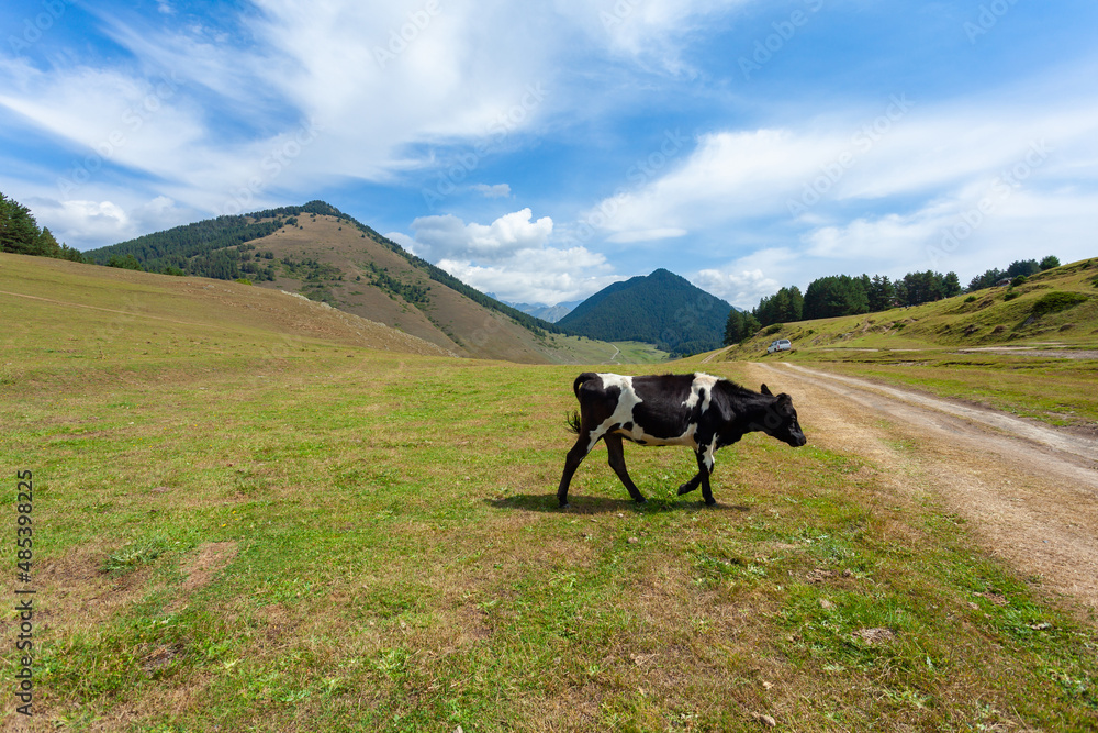View in Mountains. Road to Shenako village from Diklo in Tusheti region View in Mountains. Road to Shenako village from Diklo in Tusheti region