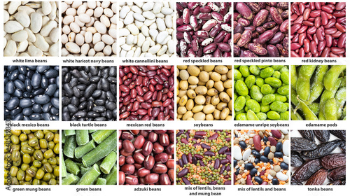 various beans with names close up