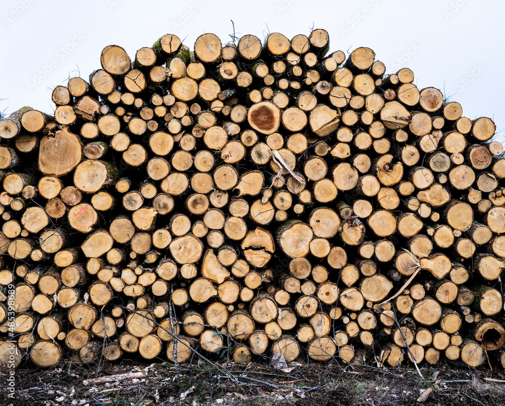 Coupe de bois de chauffage