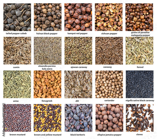 various flavoring seeds with names close up © vvoe
