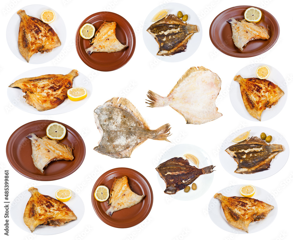 set of various fried and raw flounder fishes set of various fried and raw flounder fishes