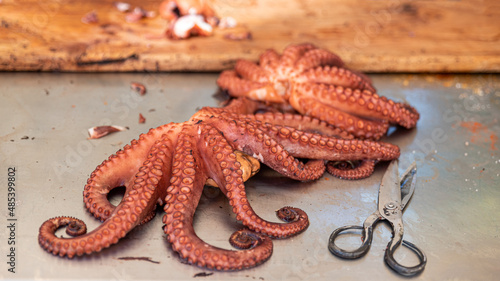 Cooked octopus with steel bottom  intelligent animal