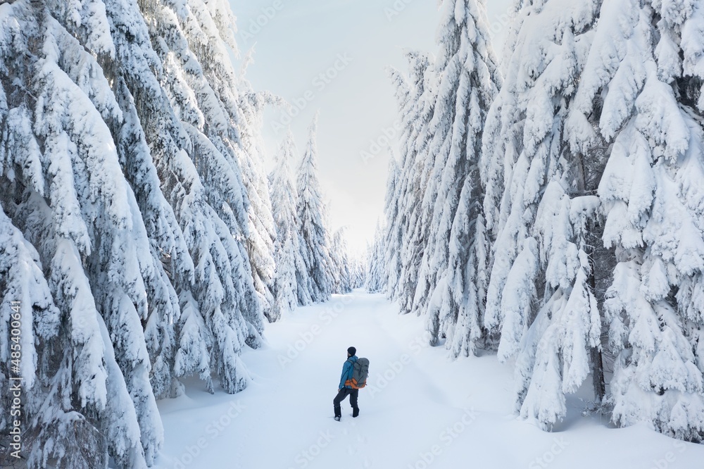 
Traveler Man with backpack hiking in winter snowy forest landscape Travel Lifestyle concept adventure active vacations outdoor cold weather into the wild. Christmas theme
