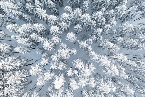 Spruce forest on the north, beautiful aerial top view. Amazing winter scene. Christmas theme. Winter background. Winter forest aerial view. Amazing nature landscape. © Michal