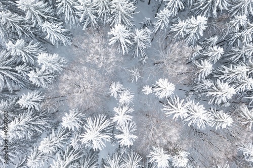 Spruce forest on the north, beautiful aerial top view. Amazing winter scene. Christmas theme. Winter background. Winter forest aerial view. Amazing nature landscape.