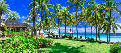 Tropical paradise beach with white sand and palm trees. Luxury resorts of Belle Mare, Mauritius island © Freesurf