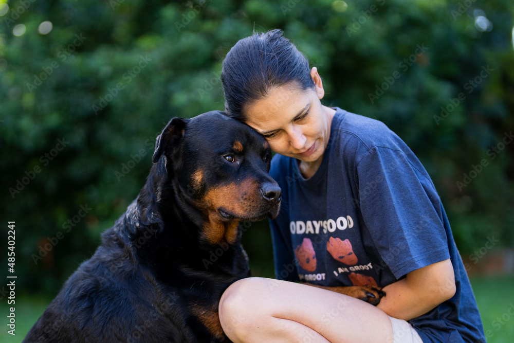 Wife Cuddling a teddy bear Rottweiler. Positive emotions showing the attachment between wife and pet love and trust and absolute endearment Wife Cuddling a teddy bear Rottweiler. Positive emotions showing the attachment between wife and pet love and trust and absolute endearment