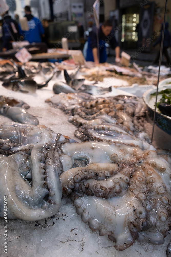 Octopus in open seamarket Octopus in open seamarket