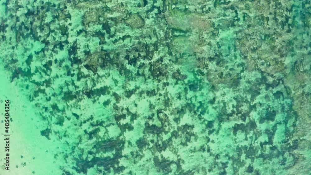 aerial flying view above crystal clear ocean water through which dark reef and all underwater fauna can be seen. Drone top shot footage transparent emerald-colored water of the Indian ocean. aerial flying view above crystal clear ocean water through which dark reef and all underwater fauna can be seen. Drone top shot footage transparent emerald-colored water of the Indian ocean.