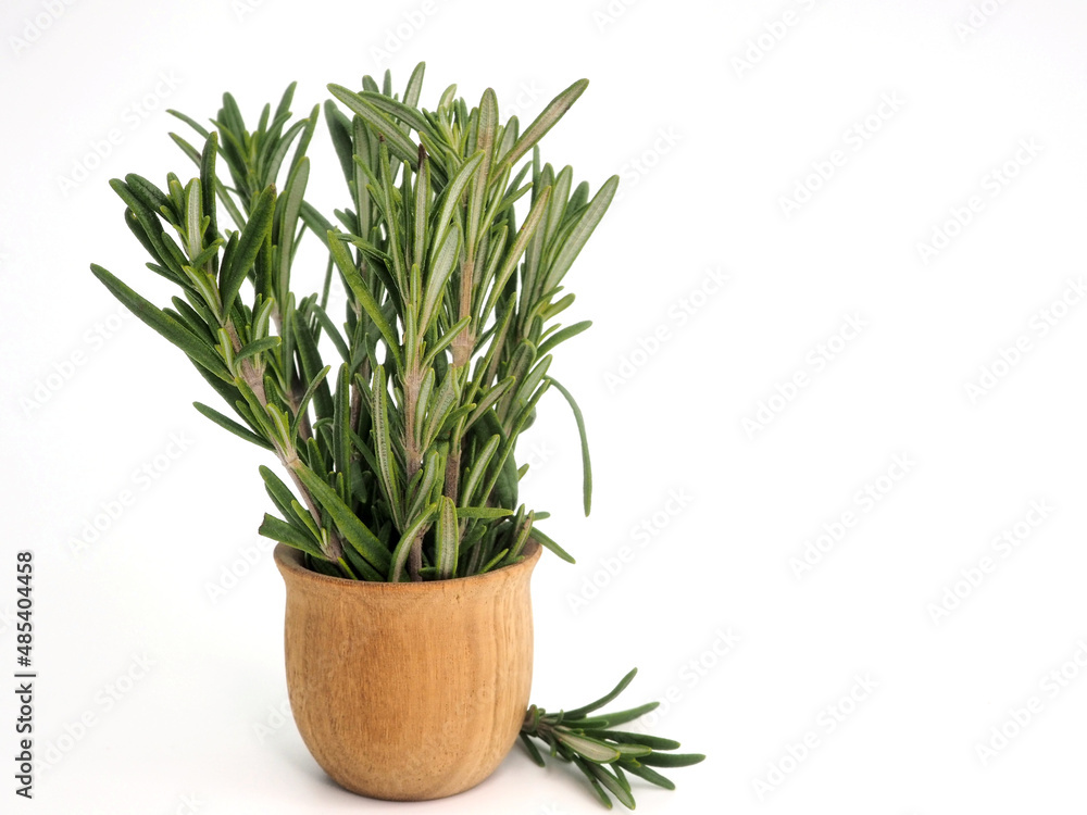 Rosemary sprigs in a wooden vase isolated on a white background. Copy space Rosemary sprigs in a wooden vase isolated on a white background. Copy space