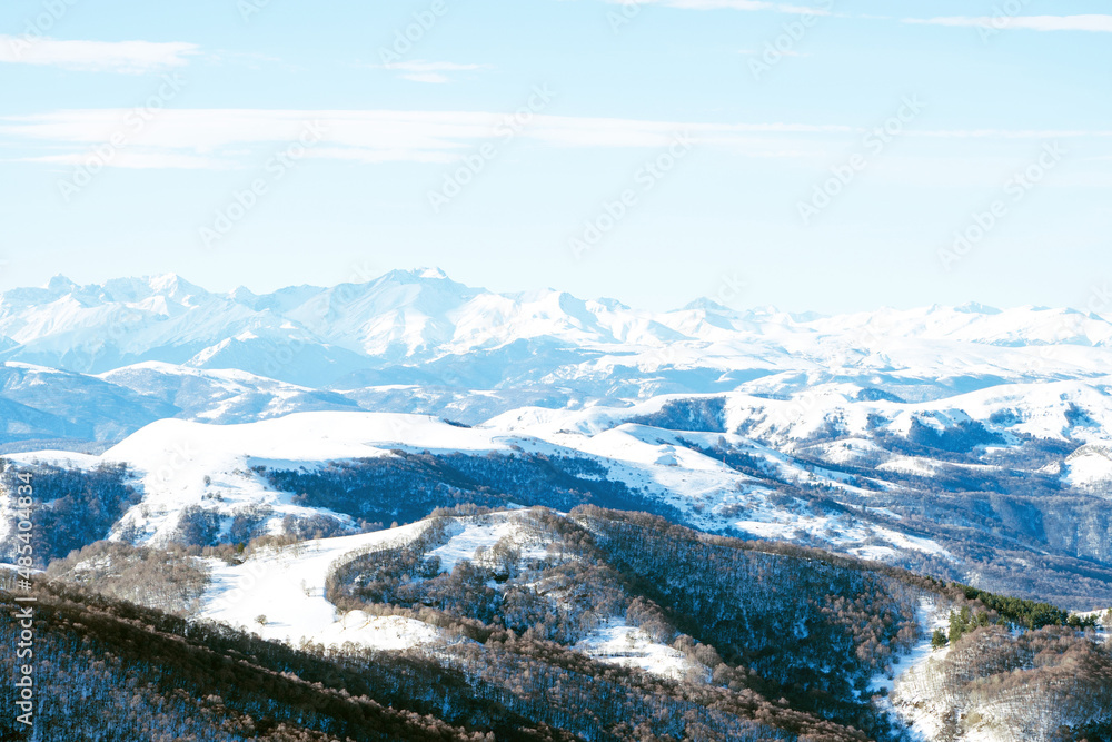 View of the snow-covered mountain range of the Caucasus Mountains and the pine forest from the pass