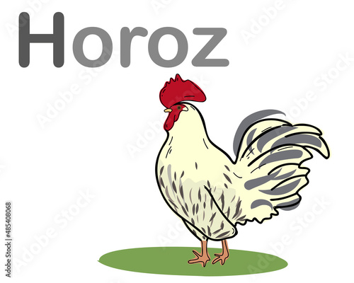 Turkish alphabet with a picture of a rooster. Translation from Turkish  rooster. Vector hand drawn illustration