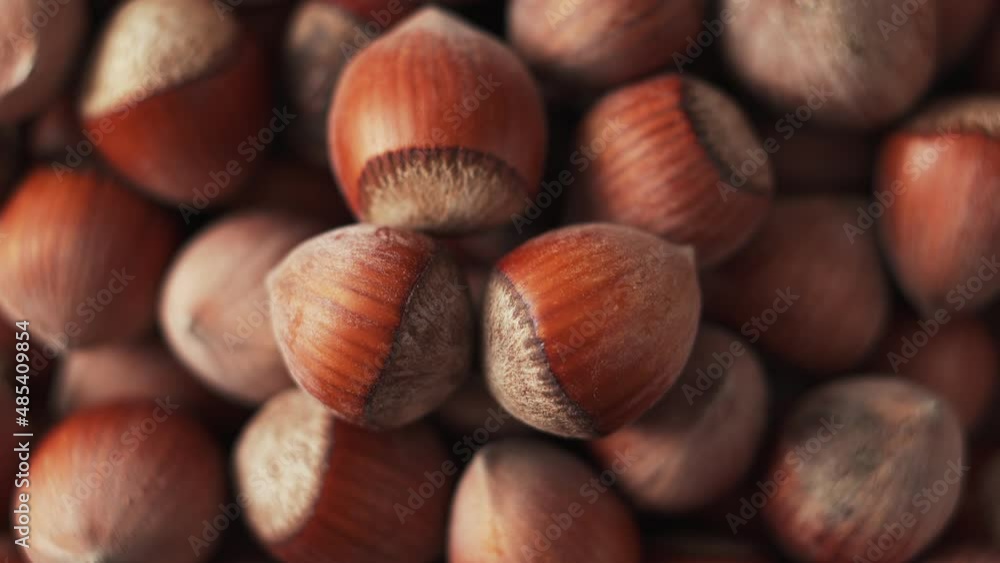 Fresh unpeeled hazelnut, top view, close up, rotate. Organic nuts, rich in nutrients, healthy food diet. Fresh unpeeled hazelnut, top view, close up, rotate. Organic nuts, rich in nutrients, healthy food diet.