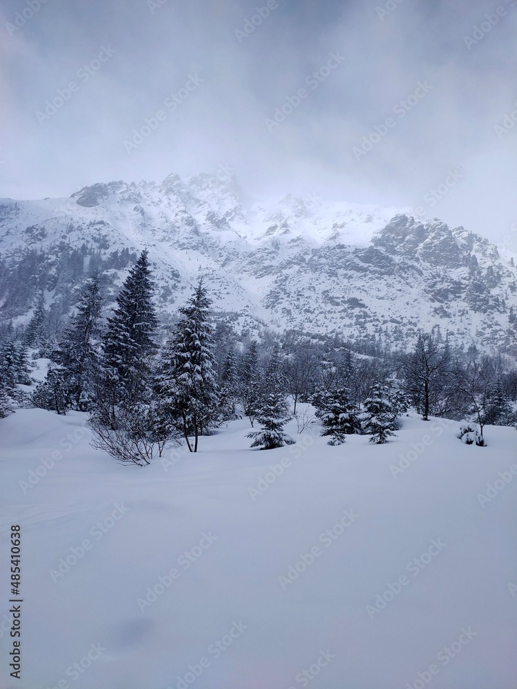Obraz premium Winter near Morskie Oko Tatras Mountains