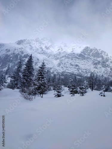 Winter near Morskie Oko Tatras Mountains