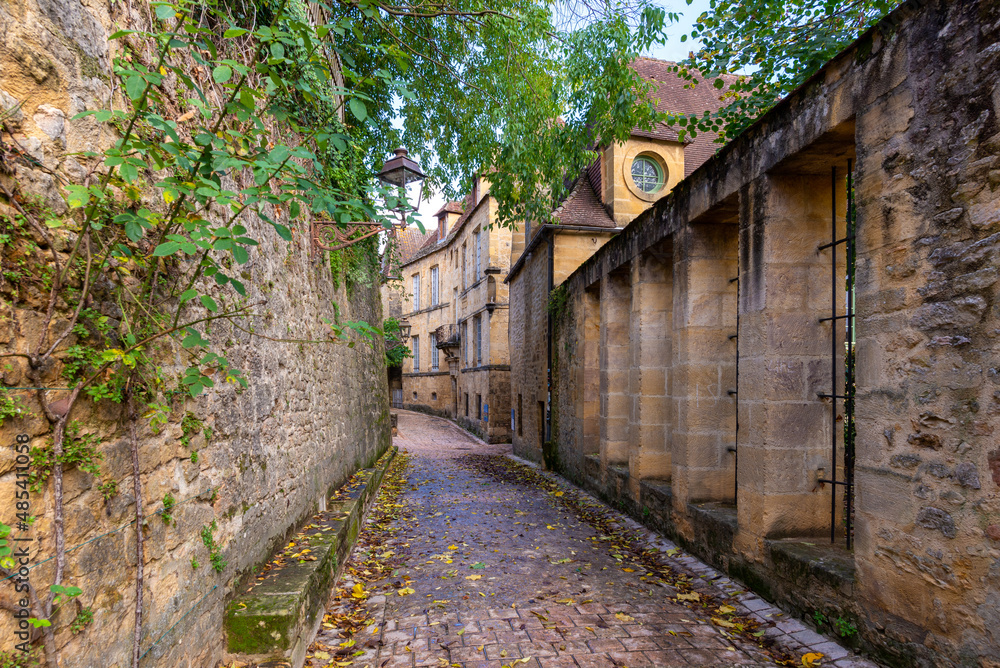 The narrow street of a beautiful french yellow stone medieval town of Perigord The narrow street of a beautiful french yellow stone medieval town of Perigord