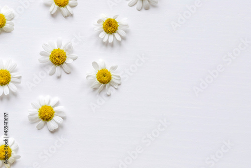 Chamomile flowers frame on the white background. Copy space © mariarom