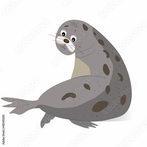 Vector illustration of sad fur seal. Isolated cartoon character. Cute and funny animal