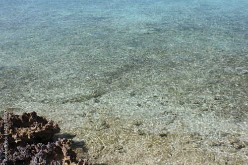 Coastal Caribbean Coral