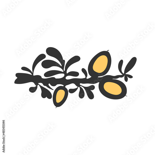 Argan symbol. Vector plant, leaves, berry. Graphic