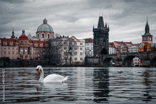 charles bridge