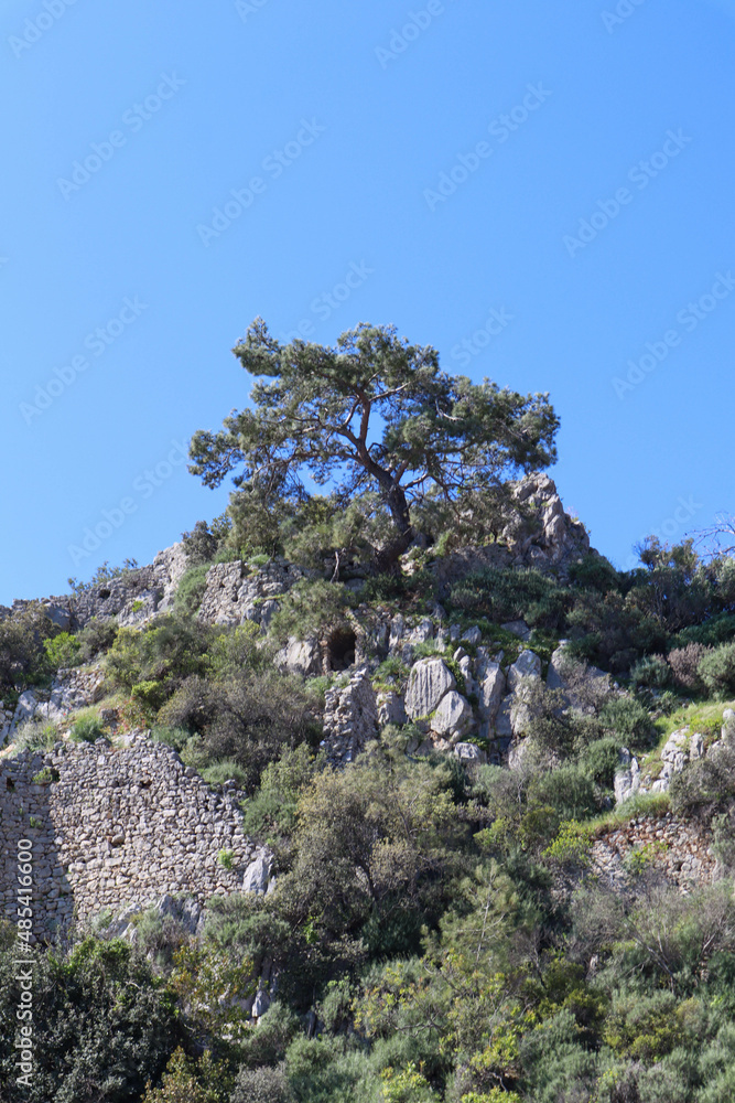 ancient fortification of the city Olympos on the mountain near Cirali village in Turkey