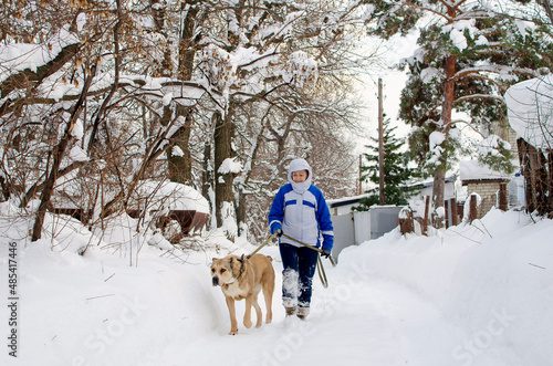 The owner walks with Alabai on a winter day.