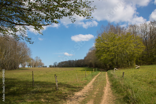 paysage de campagne dans le Brionnais en Saône-et-Loire en France au printemps