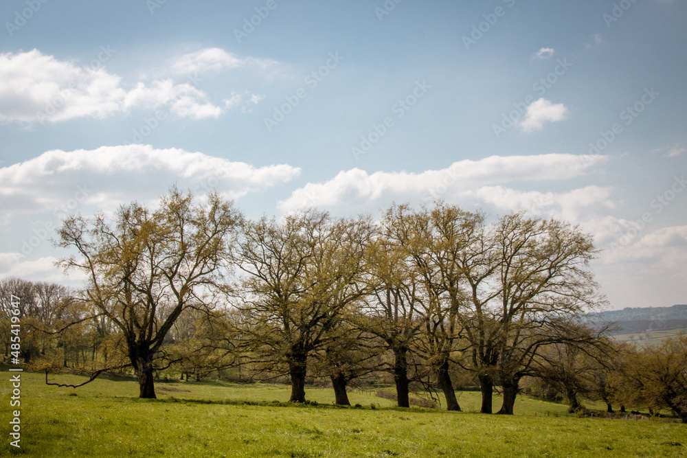 paysage de campagne dans le Brionnais en Saône-et-Loire en France au printemps paysage de campagne dans le Brionnais en Saône-et-Loire en France au printemps