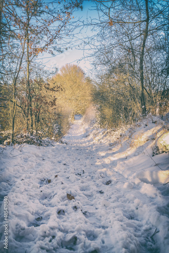 Winter in Pottenstein © Gregor Schreiber