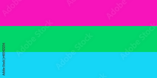 Polysexual Pride Flag. LGBT sexual minority.
