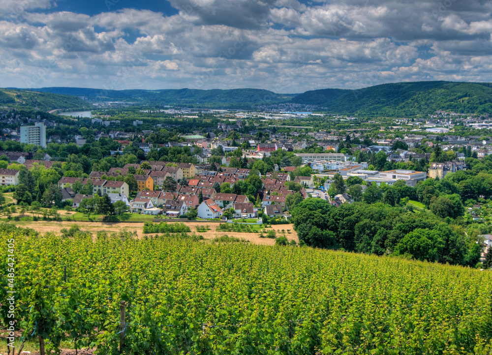 View From Petrisberg To The Mosel River In Trier Germany On A Beautiful Sunny Summer Day With A Clear Blue Sky And A Few Clouds