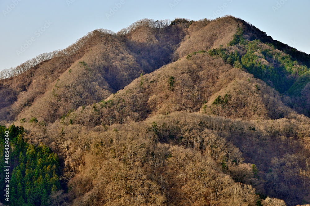 道志山塊の鶴島御前山のハサミ岩より朝日の高柄山
