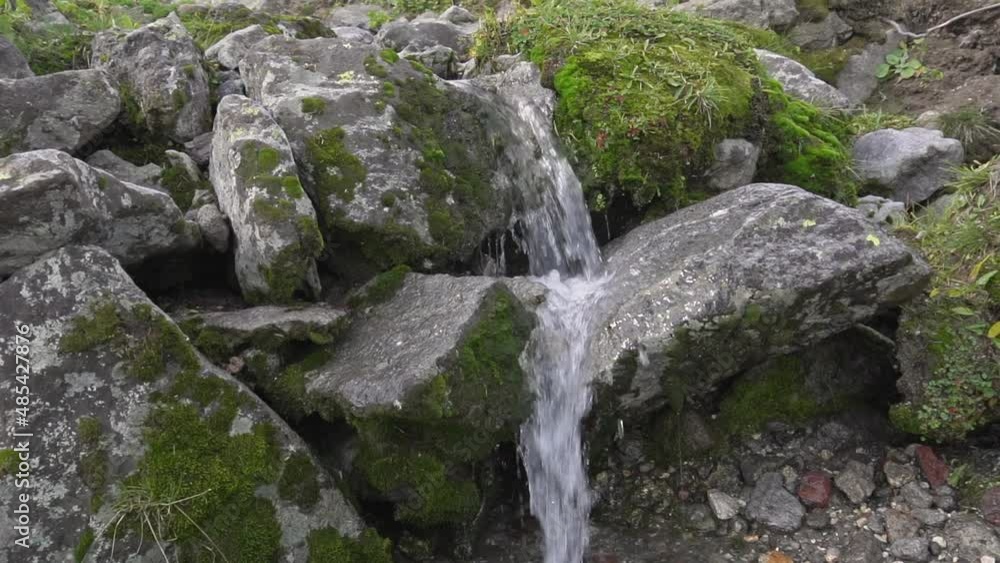 a beautiful mountain stream with clean drinking water flows through old rocky stones that are overgrown with moss. a beautiful mountain stream with clean drinking water flows through old rocky stones that are overgrown with moss.