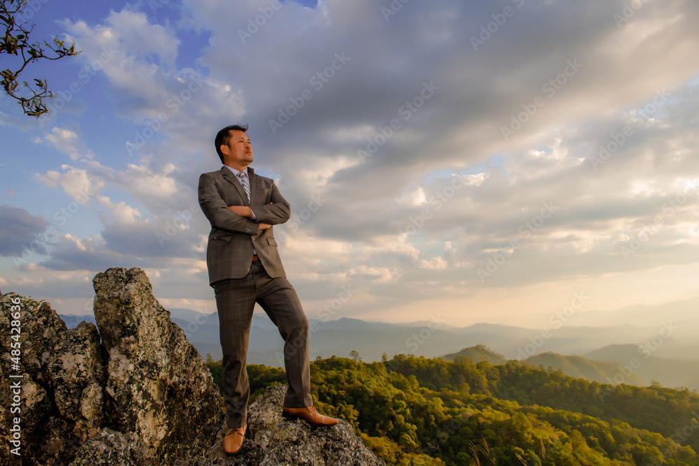 Obraz premium Successful business man standing on a peak of the mountain and purposefully looking away.