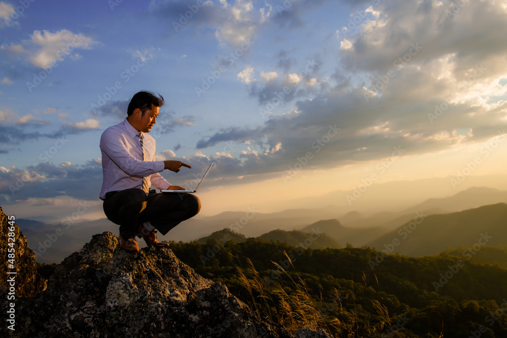 Successful business man standing on a peak of the mountain and purposefully looking away. Successful business man standing on a peak of the mountain and purposefully looking away.