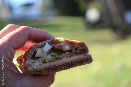 sanduiche natural photo