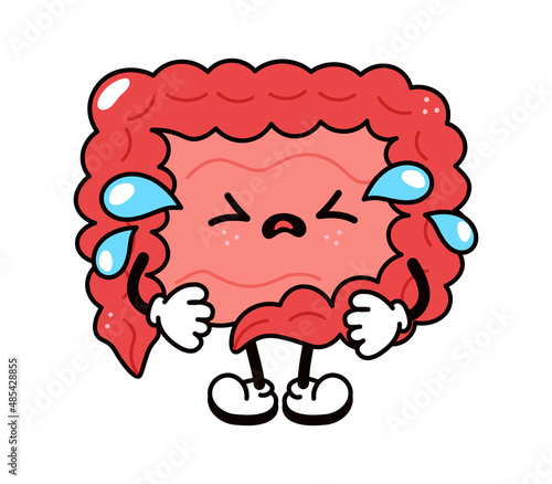 Cute funny crying sad intestines character. Vector hand drawn traditional cartoon vintage, retro, kawaii character illustration icon. Isolated on white background. Cry intestines character concept