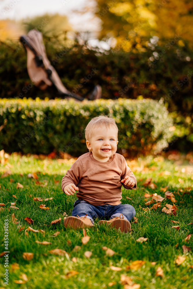 a cute little blonde boy in a brown sweater on a green lawn with autumn leaves. a cute little blonde boy in a brown sweater on a green lawn with autumn leaves.