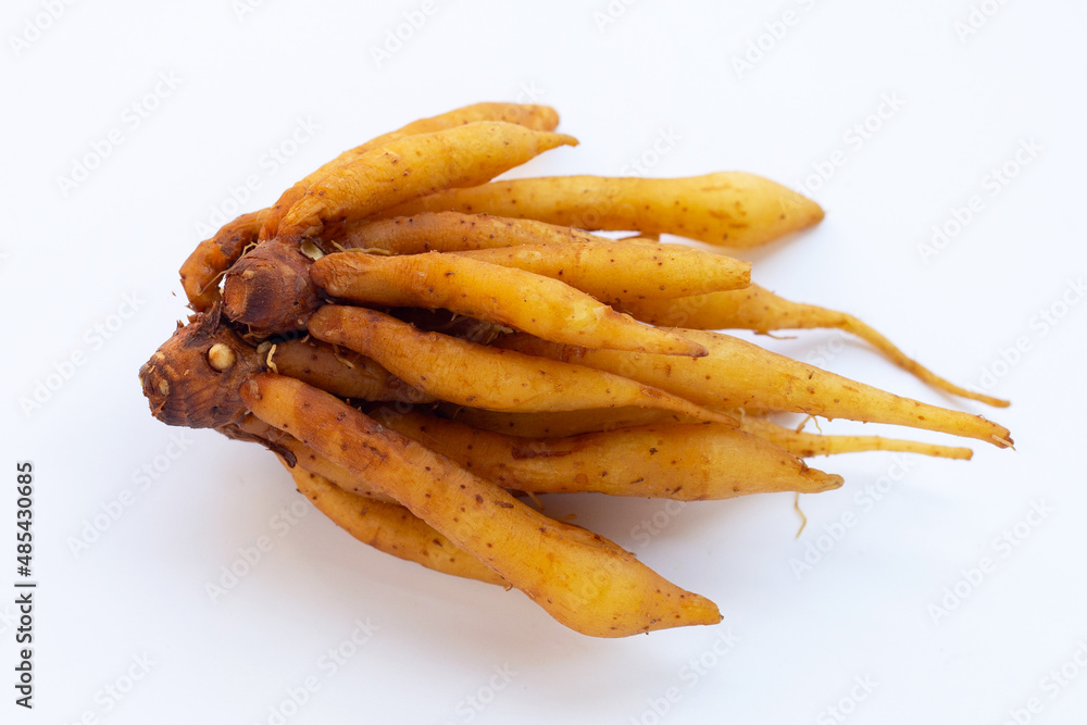 Finger root on a white background. Finger root on a white background.