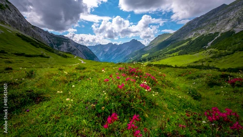 Meadow with flowers in mountains in front alps mountains karwendel austria alps mountains time lapse video footage in 4K.