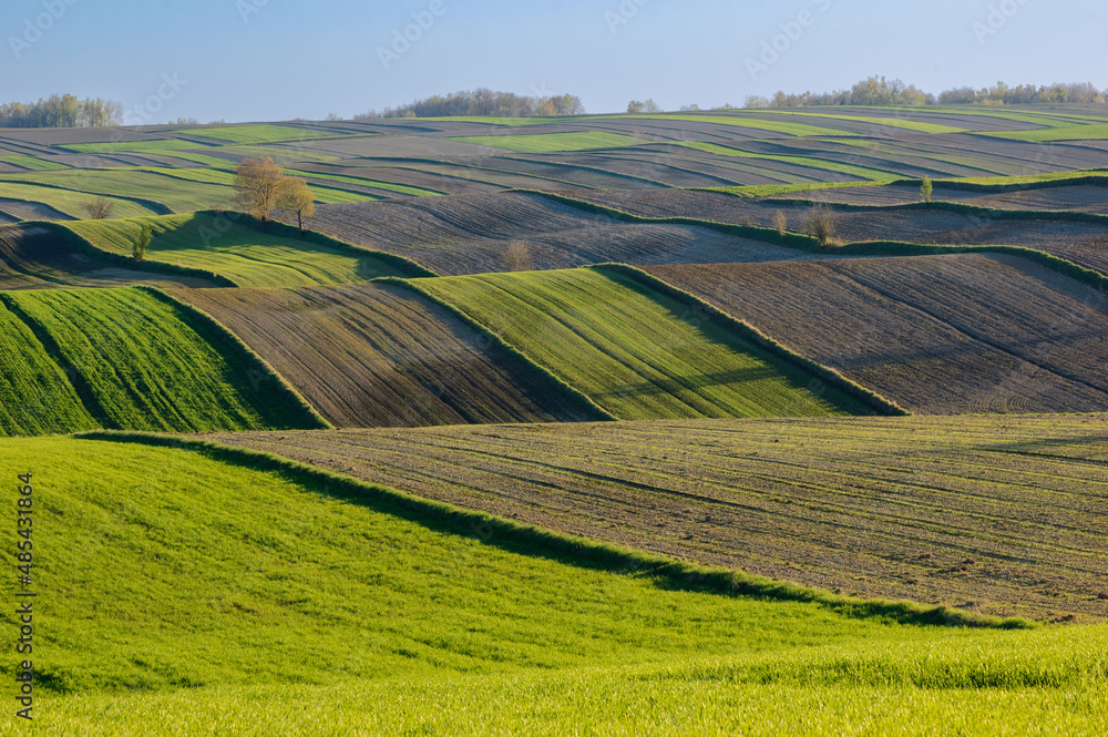 Agricultural fields in Roztocze. Poland. Spring