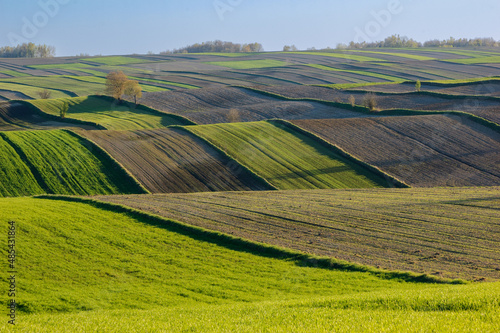 Agricultural fields in Roztocze. Poland. Spring