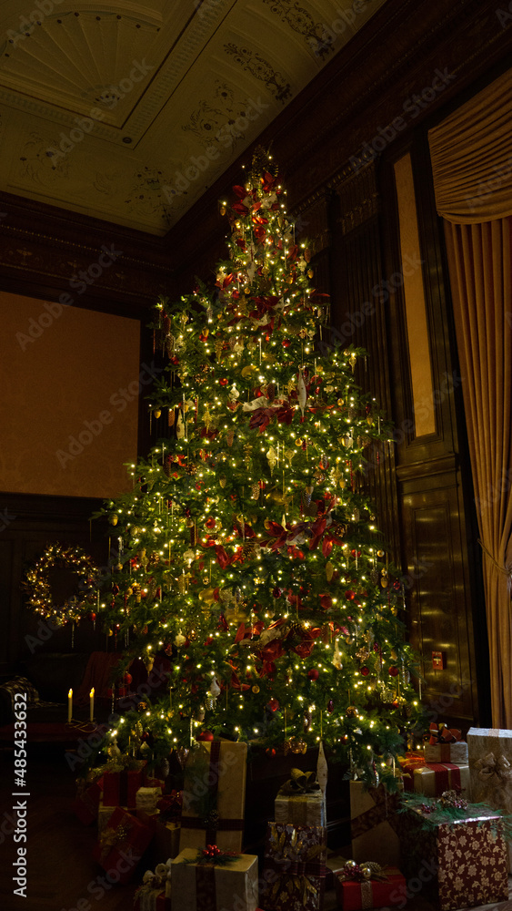 decorated christmas tree decorated christmas tree